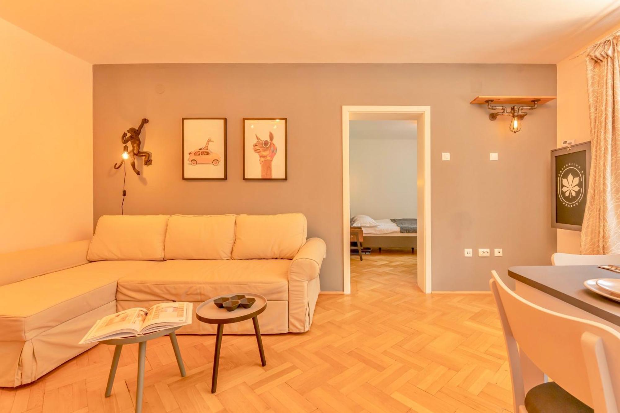Castanilor 6 - Hip Industrial Apartment Close To City Centre Braşov Esterno foto